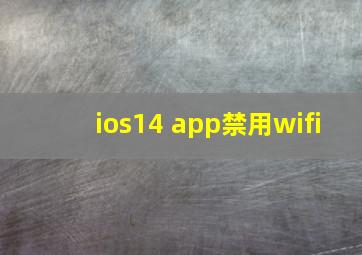 ios14 app禁用wifi